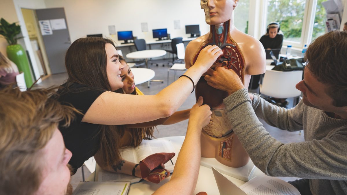 Studenter på biblioteket