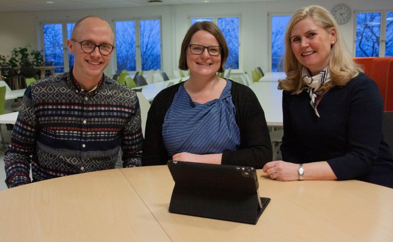 Virtuelle refleksjonsgrupper - veien mot fleksibel samarbeidslæring