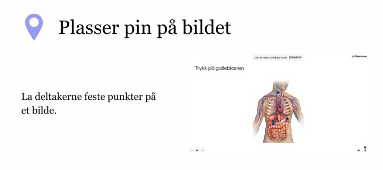 Plasser pin på bildet