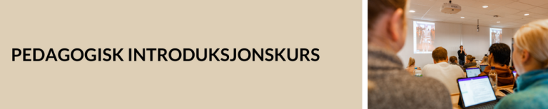 Pedagogisk introduksjonskurs