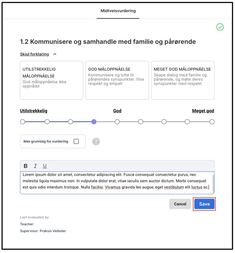 Kommentarer i vurderingsskjemaet