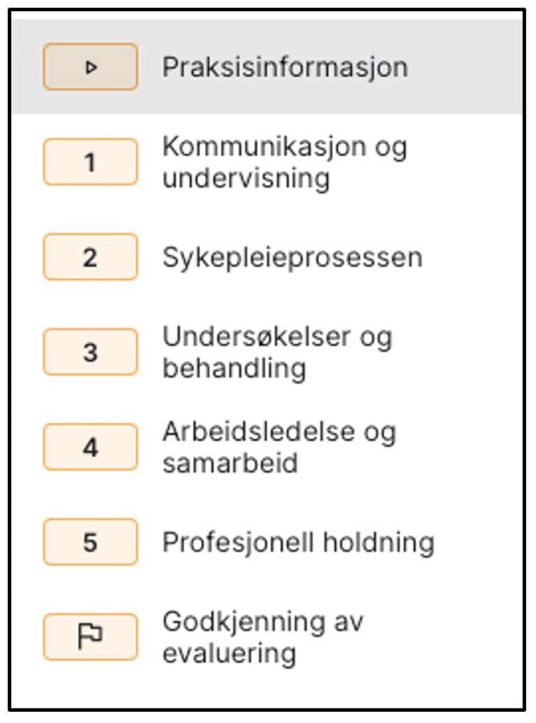 Punktene i vurderingsskjema (AssCE)