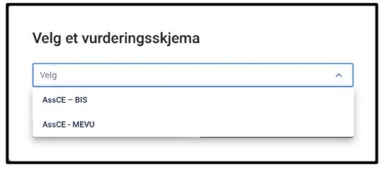 Valg av skjema