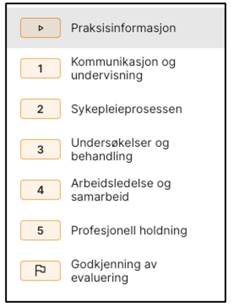 Punktene i vurderingsskjema