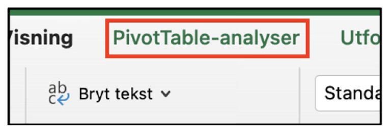 Pivottabeller i Excel