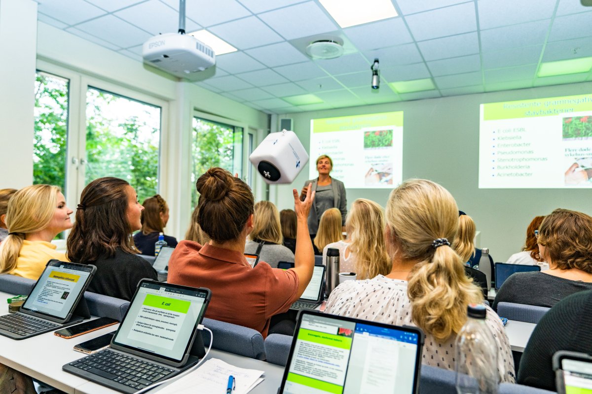 Åtte Kandidater I LDHs Nye Førstelektorprogram - Ldh.no