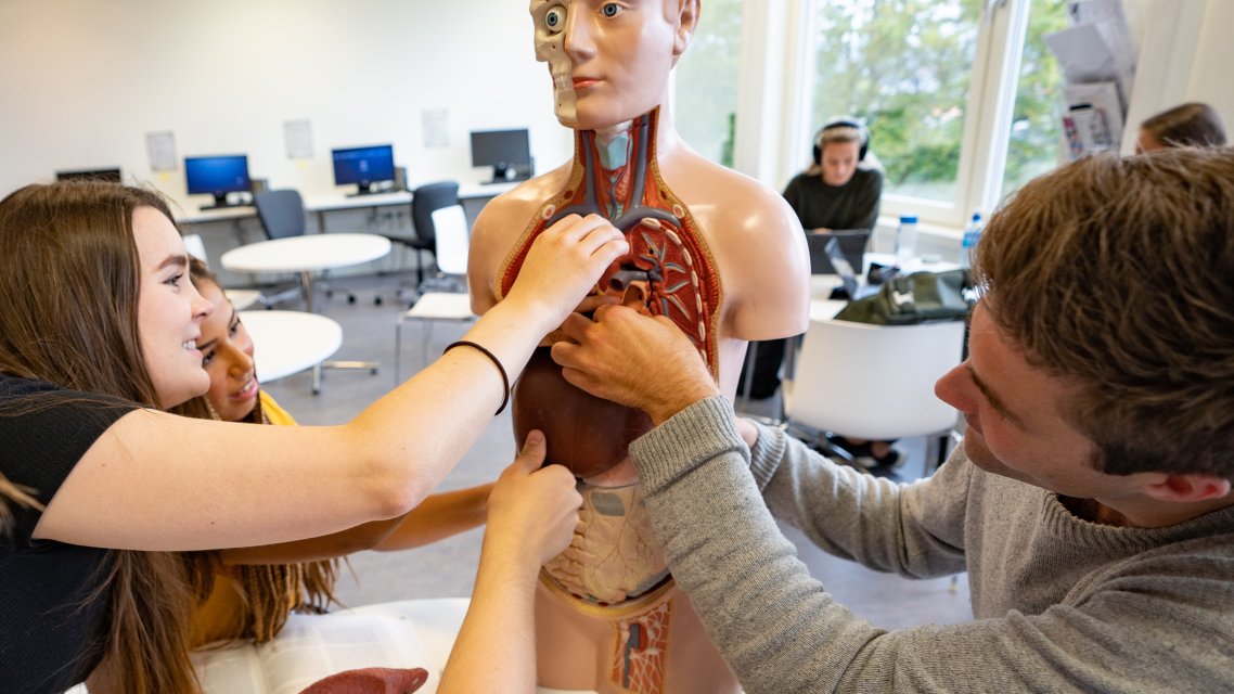 Studenter øver seg på anatomidukke