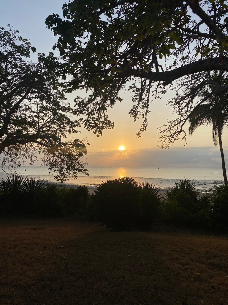 Solnedgang over vannet i Tanzania med trær på sidene